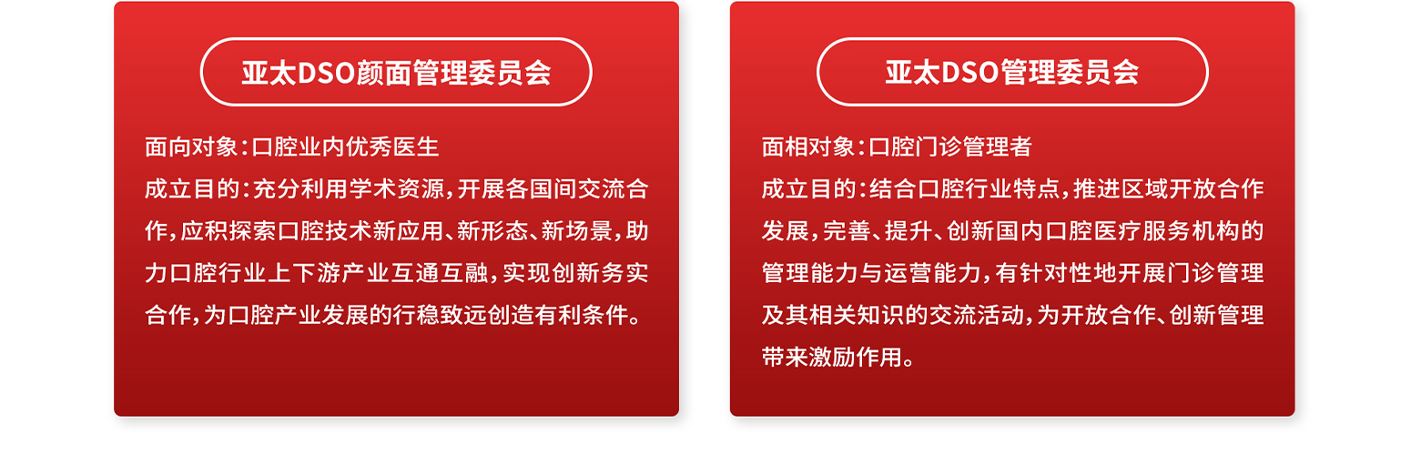 亚太DSO委员会