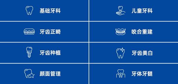 服务项目项目介绍